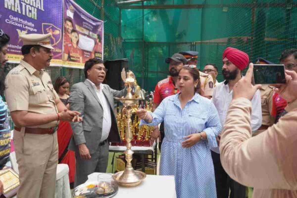 galli mohalla cricket league